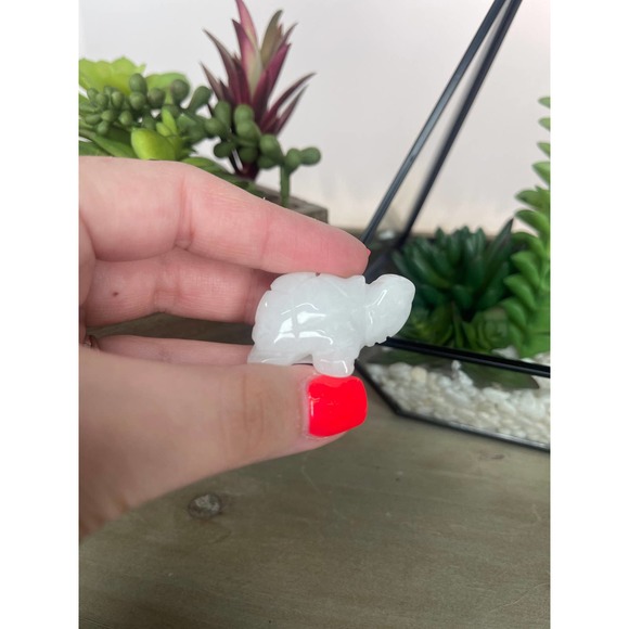 White Jade Turtle Polished Carving - Picture 2 of 10